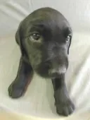 ラブラドールレトリバー
LABRADOR RETRIEVER